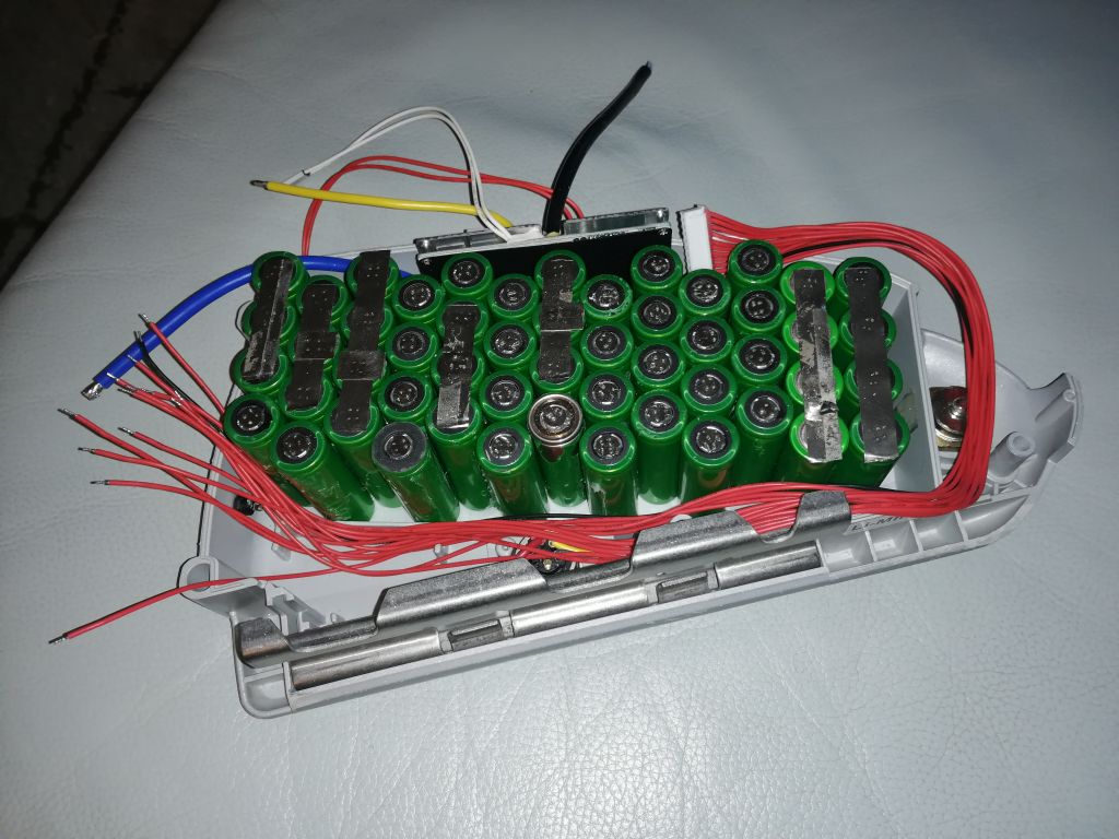 Bionx case with new cells